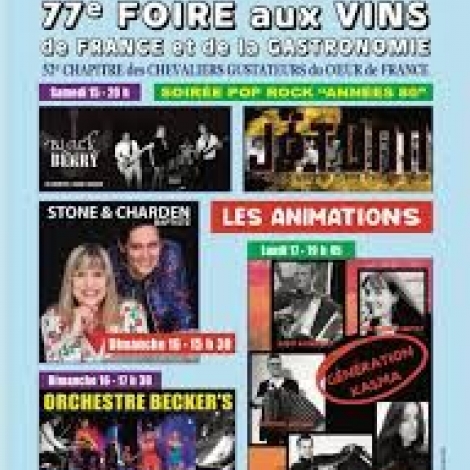 FOIRE AUX VINS ST AMAND