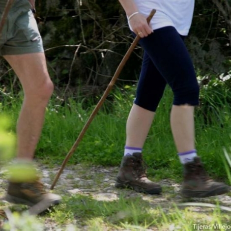 LAssociation  La Bouffe dOxygne 