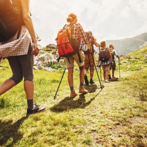 LAssociation Vivre  Viplaix