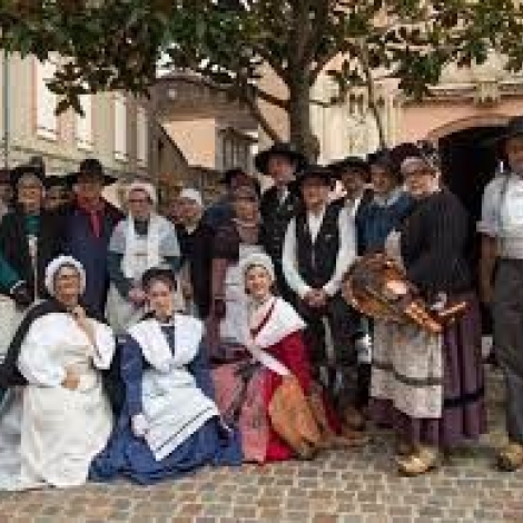 Les Gats Do Bourbonnais