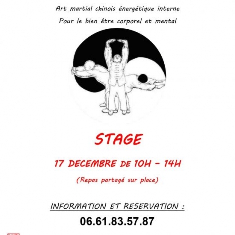 STAGE ART MARTIAL