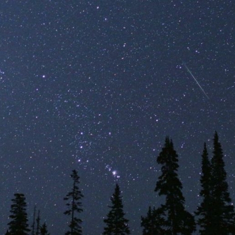 Service Culture de Domrat