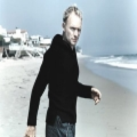 Sting