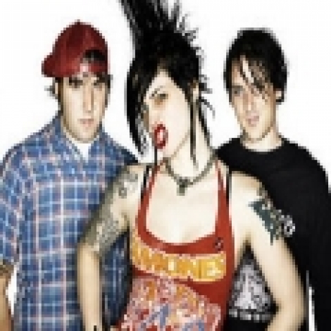 The Distillers