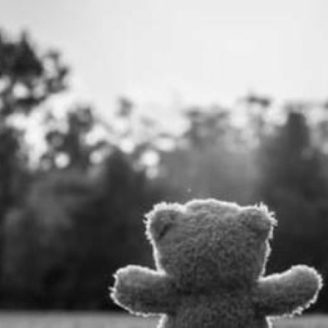 Choc et tristesse au Collge Jules Verne de Bien Assis aprs la mort d'un lve de 6me  son domicile le week-end pass