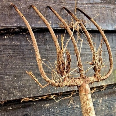 Dsespr et voulant en finir, il avait fonc sur des gendarmes avec une fourche  Hyds lundi 10 juin