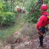 Opration de sauvetage d'animaux pour les pompiers ce mercredi 8 mai  Valigny 