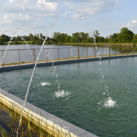 2me saison pour la baignade biologique d'Herculat, avec une cette anne une petit nouveaut