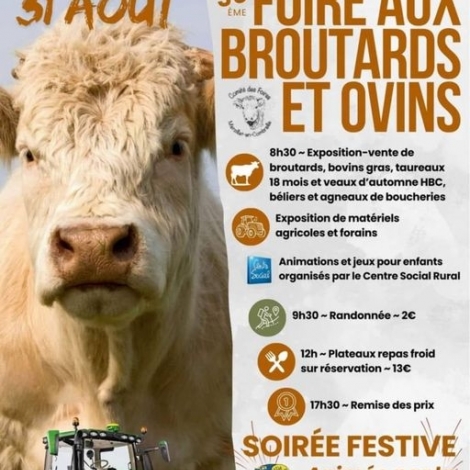 A Marcillat-en-Combraille ce week-end c'est foire aux broutards et ovins, et fte patronale