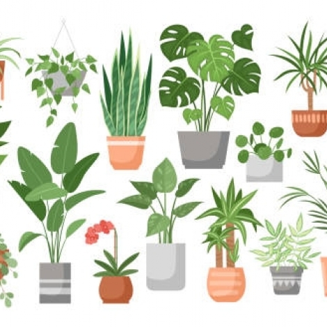 Des nouveaux rendez-vous dans l'info locale sur RMB