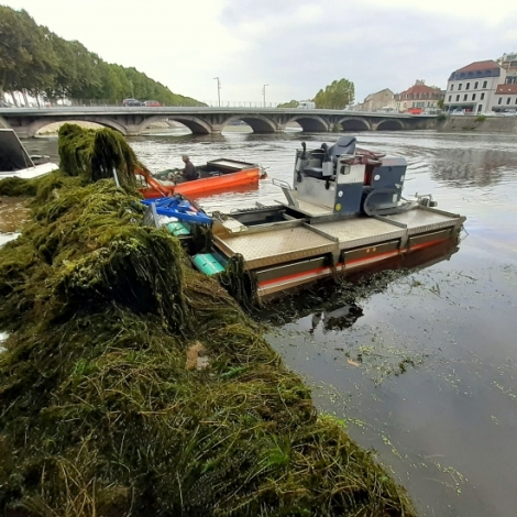 L'opration de faucardage a dbut sur le Cher pour tenter d'enlever les lodes