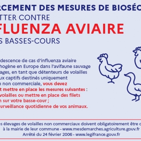 La grippe aviaire dbarque  nouveau dans l'Allier avec un foyer hautement pathogne  St-Plaisir