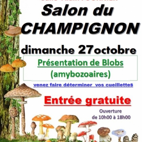 La mto est idale pour les champignons sur la rgion montluonnaise, on en trouve un peu partout, et ils seront aussi  l'honneur lors du salon du champignon dimanche  Meaulne