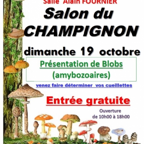 La socit mycologique du Val de Cher organise son salon du champignon dimanche 19 octobre  Meaulne