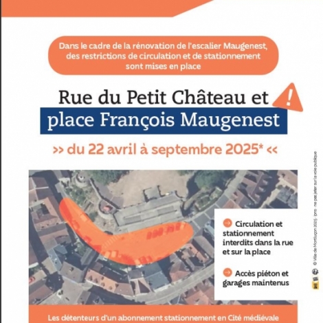 Le chantier de rnovation de l'escalier Franois Maugenest a dbut ce 22 avril en cit mdivale de Montluon