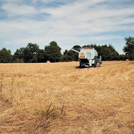 Malgr la pluie de ces jours-ci, les exploitations des agriculteurs bourbonnais ont souffert de la scheresse