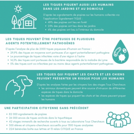 On parle des tiques dans la chronique sant du jour sur RMB